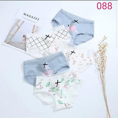 Combo 5 Quần Lót Nữ Cotton Dễ Thương 088 – Mềm Mại, Thấm Hút, Co Giãn