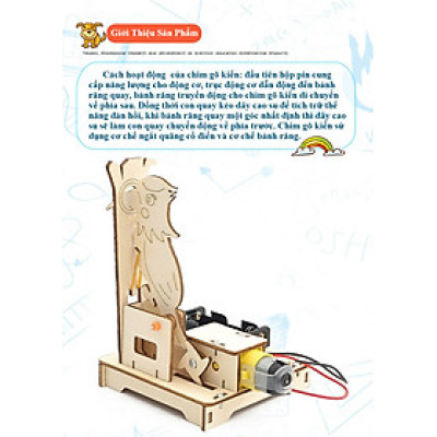 Bộ Đồ Chơi Lắp Ghép STEM Mô Hình Chim Gõ Kiến, Bộ Đồ Chơi Khoa Học Tự Làm Chim Gõ Kiến, Bộ Đồ Chơi Gỗ Cao Cấp Khoa Học Tự Làm DIY Wood Steam - Chính Hãng BABYBOSS.