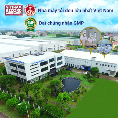 Tỏi Đen Cô Đơn - Combo 4 Hộp Tỏi Kim Cương Đông Á 200g - SX theo công nghệ Nhật Bản, hỗ trợ tốt cho sức khỏe - Kiểm nghiệm chất lượng bởi Bộ Y Tế, Intertek
