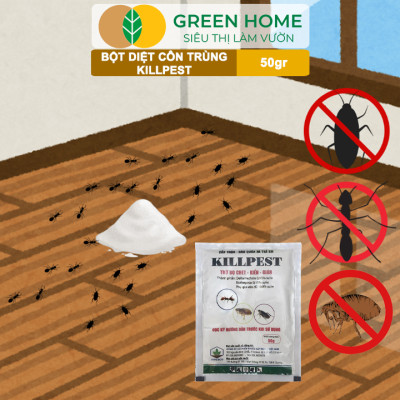 Bột Phấn Kiến KillPest Vipesco, GreenHome, Gói 50gr, Hiệu Quả Cao, Diệt Trừ Bọ Chét, Kiến, Gián