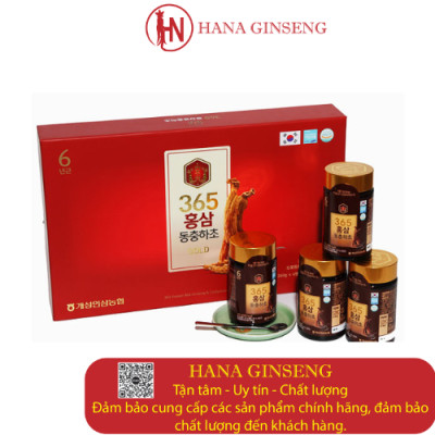 Cao hồng sâm đông trùng hạ thảo 365 Gold Hàn Quốc hộp 4 lọ - Quà tặng thượng hạng cho mọi người