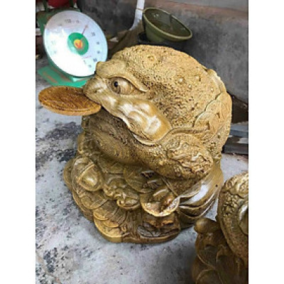 Cóc ngậm đồng tiền phong thủy  bằng gỗ mun đuôi công kt 47×47×40cm