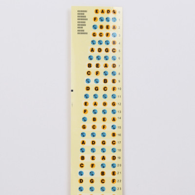 Miếng Dán Note Cần Đàn Guitar I Dành Cho Người Mới Tập Chơi I Guitar Note sticker