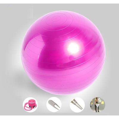 Bóng Tập Yoga, Bóng Yoga Tròn Cỡ Đại 65cm Cao Cấp - Chính Hãng (Hàng nhập khẩu)