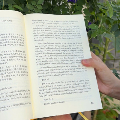 Quan hệ Việt Nam - Trung Hoa dưới triều Thanh (Bìa cứng)