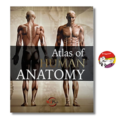 Sách - Human Anatomy by Jordi Vigue | Medical Science / Reference Nonfiction / Ngoại văn