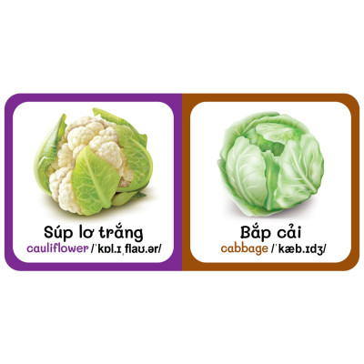 Sách - combo 9 Quyển Từ Điển Bằng Hình Đầu Tiên Của Bé Từ 0-6 tuổi - Song Ngữ Anh- Việt (Các trang đều là Bìa Cứng - màu vàng )