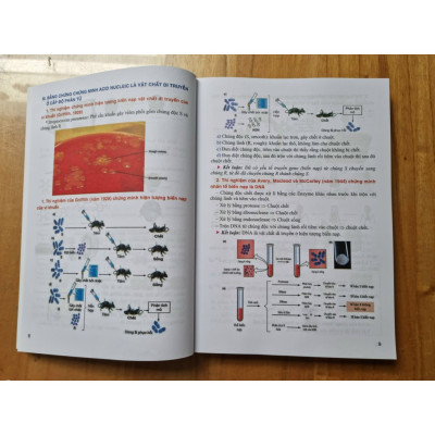 Sách - Bồi Dưỡng Học Sinh Giỏi Sinh Học 10 - 11 - 12 (Phan Khắc Nghệ - HA)