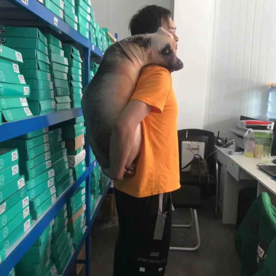 Gấu bông con chó liếc 3D hài hước ship HOẢ TỐC HCM gấu hình chó thật nhồi bông 20cm 50cm 70cm 90cm giá rẻ