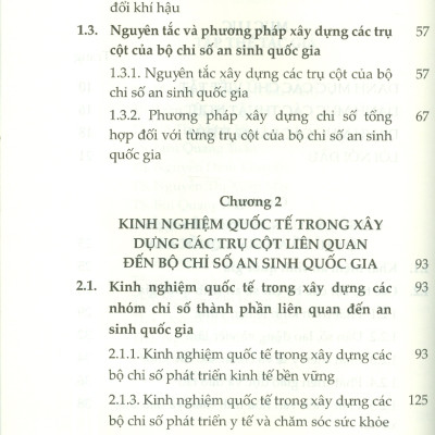 Những Vấn Đề Chung Trong Xây Dựng Bộ Chỉ Số An Sinh Quốc Gia (Sách Chuyên Khảo)