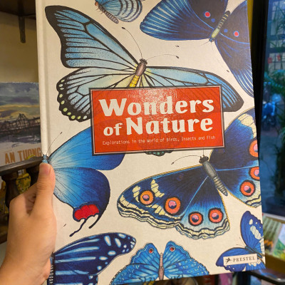 Sách - Wonders of Nature: Explorations in the World of Birds, Insects and Fish by Florence Guiraud