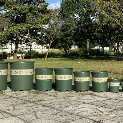 10 Chậu nhựa trồng cây MONROVIA 1 Gl, chậu trồng cây, chậu cây cảnh mini, để bàn, treo ban công, treo tường, cao cấp, chính hãng thương hiệu MONROVIA