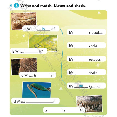 Sách ngoại văn: American Grammar Goals: Student