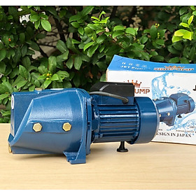MÁY BƠM NƯỚC LY TÂM 750W KINGPUMP KP-10M - HÀNG CHÍNH HÃNG