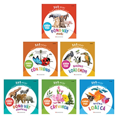 Sách - 365 Ngày Phát Triển Trí Tuệ: Khám Phá ( Bộ 6 Cuốn )