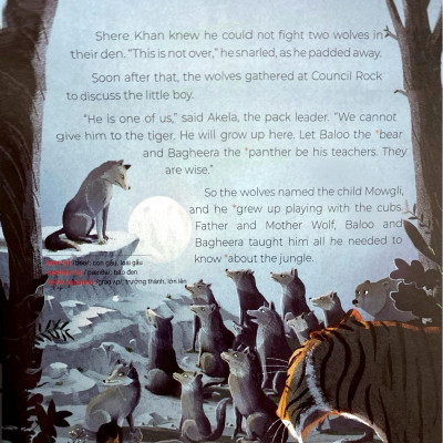 Sách - Truyện Cổ Tích Hay Nhất Thế Giới - Cậu Bé Rừng Xanh - The Jungle Book