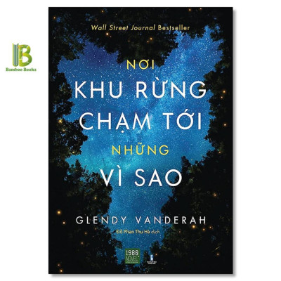 Sách - Combo 2 Cuốn:  Nơi Khu Rừng Chạm Tới Những Vì Sao + Nắng Xuyên Qua Vòm Lá - Glendy Vanderah - 1980 Books