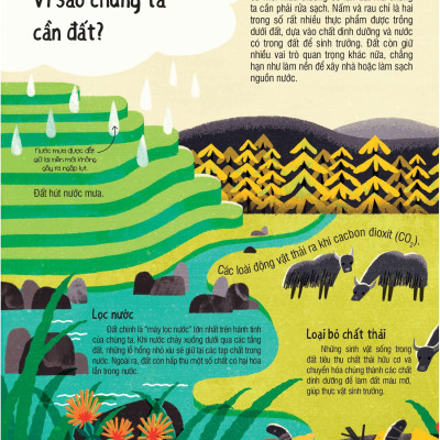 Under Your Feet - Dưới Đôi Bàn Chân Bạn - Đất, Cát Và Ti Tỉ Thứ Dưới Lòng Đất