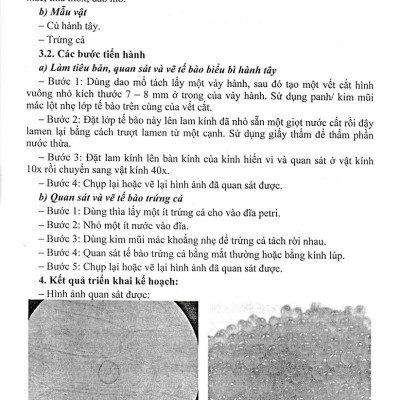 Sách tham khảo- Hướng Dẫn Trả Lời Câu Hỏi Và Bài Tập Khoa Học Tự Nhiên 7 (Dùng Kèm SGK Chân Trời Sáng Tạo)_HA