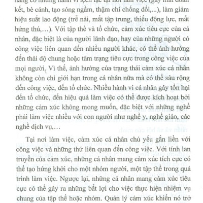 Cảm Xúc Tại Nơi Làm Việc (Sách Chuyên Khảo)