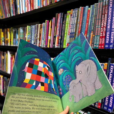 Sách - Elmer and the Lost Teddy - Sách ngoại văn, sách thiếu nhi tiếng Anh, bìa mềm, nhập khẩu UK