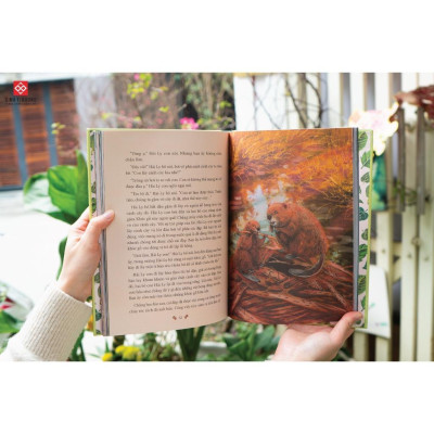 Sách - Thiên Nhiên Diệu Kỳ - Truyện Kể Cho Trẻ Từ 6 Tuổi - Combo 2 Cuốn - Đinh Tị Books