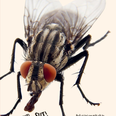 Bách Khoa Thư Britannica Dành Cho Trẻ Em - Cuốn Sách Khổng Lồ Giải Đáp 100++ Câu Hỏi Tại Sao Hóc Búa