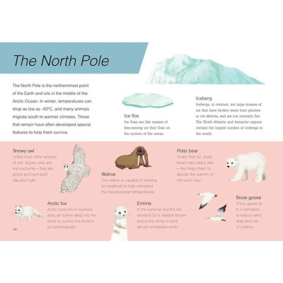 Sách Tranh Song Ngữ - Trên và Dưới - Lật Nhẹ Từng Trang Để Thấy Thiên Nhiên Diệu Kỳ