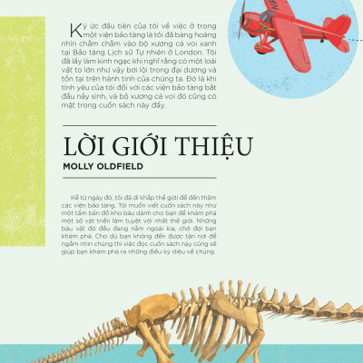 Bách Khoa Tri Thức Về Các Kỳ Quan Thế Giới - Kỳ Quan Trong Viện Bảo Tàng