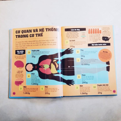 Infomania - Các kỷ lục, top 10 và những thông tin kỳ thú khác -  Bản Quyền