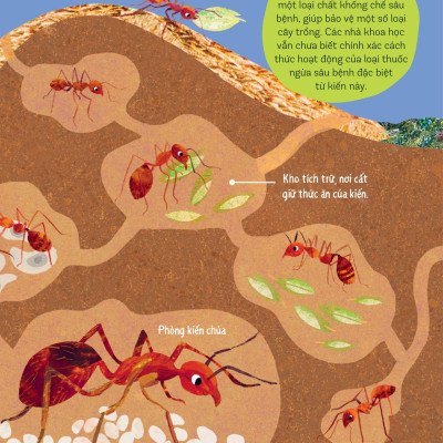 Bách Khoa Thư Britannica Dành Cho Trẻ Em - Cuốn Sách Khổng Lồ Giải Đáp 100++ Câu Hỏi Tại Sao Hóc Búa