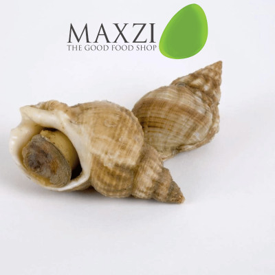 Ốc Xoắn Nấu Chín Ocean Gems 1kg - Maxzi