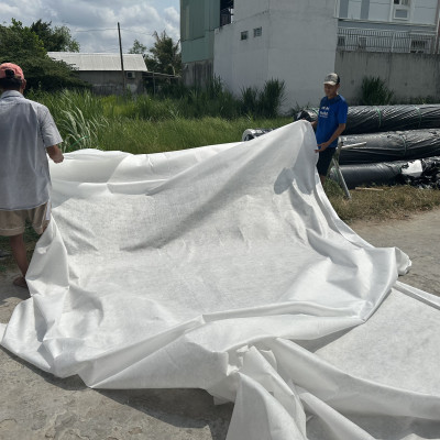 Vải địa kỹ thuật ART không dệt Khổ 50m2 | Trồng cây phủ đất | chống cỏ | Phủ gốc cây | Chất lượng tốt nhất thị trường