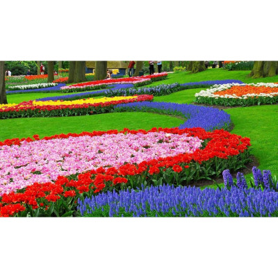 Tranh PHONG THỦY,TRANH HOA 3D, tranh dán tường mở rộng không gian,tranh dán tường 3D KT LỚN,,PVP-LUA02-012