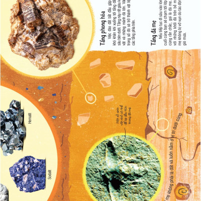 Under Your Feet - Dưới Đôi Bàn Chân Bạn - Đất, Cát Và Ti Tỉ Thứ Dưới Lòng Đất