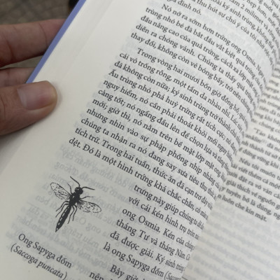 (Ấn bản đầy đủ nhất của Jean-Henri Fabre) CÔN TRÙNG KÝ – Tập 3 - Jean-Henri Fabre - An Lạc Group dịch – Huy Hoàng Bookstore – bìa mềm