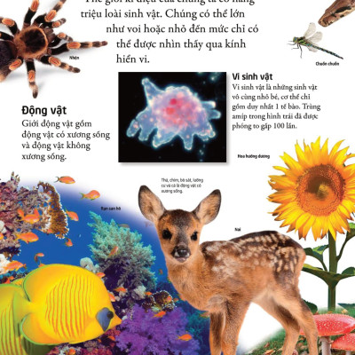 Bách Khoa Cho Trẻ Em - Bách Khoa Khoa Học