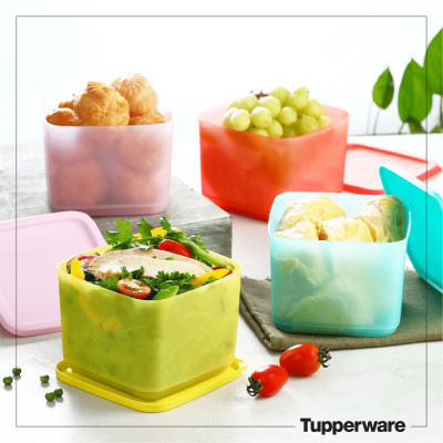 Bộ Hộp Tupperware Bảo Quản Thực Phẩm Ngăn Mát Medium Square Round 1L (04 Hộp)