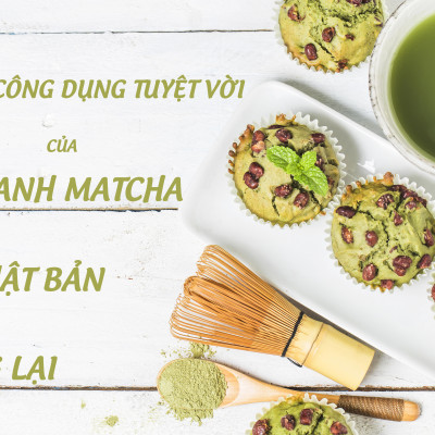 Bột Trà Xanh Matcha Hiệu Gold Cocoa Indochine (Hộp 10 Gói x 10g)