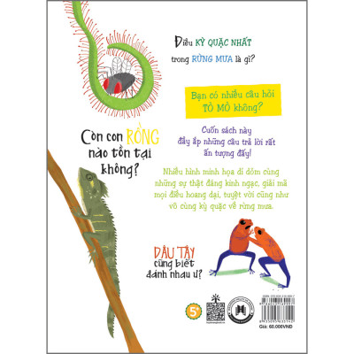 Những câu hỏi tò mò & giải đáp thú vị về rừng mưa