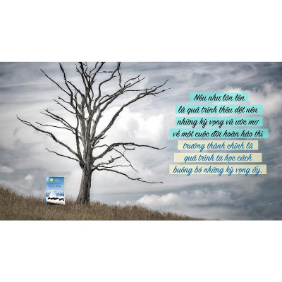 Sách - Bản Giao Hưởng Cuộc Sống - Ấn Bản Đặc Biệt Hạt Giống Tâm Hồn