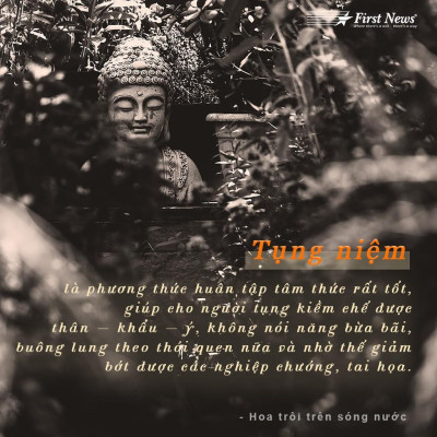 Hoa Trôi Trên Sóng Nước Nguyên Phong - Bản Quyền