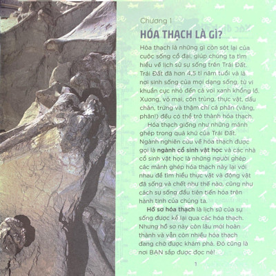 Nhà Khoa Học Nhí - Nghiên Cứu Hóa Thạch - Xương Khủng Long, Động Vật Cổ Đại Và Thời Tiền Sử