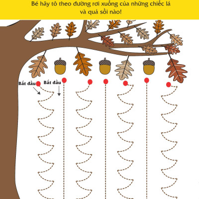 Sách - Rèn Luyện Kỹ Năng Cầm Bút Cho Trẻ - Tô Nét Cơ Bản