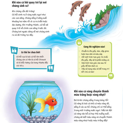 When? Bố Mẹ Ơi Khi Nào…? Những Câu Hỏi When Giúp Con Tò Mò Sáng Tạo?