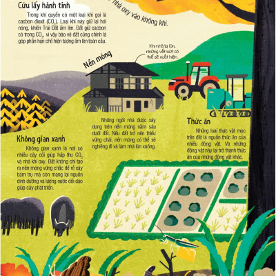 Under Your Feet - Dưới Đôi Bàn Chân Bạn - Đất, Cát Và Ti Tỉ Thứ Dưới Lòng Đất