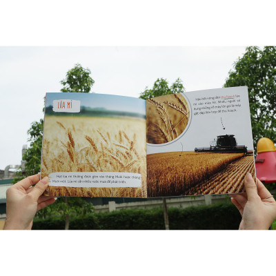 Combo (6 Tập): Healthy eating - Ăn uống lành mạnh