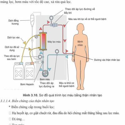 Sách - Bệnh học Nội khoa 2025 (Trọn bộ)