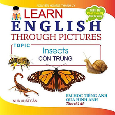 Sách - Em Học Tiếng Anh Qua Hình Ảnh - Côn Trùng - Hồng Ân