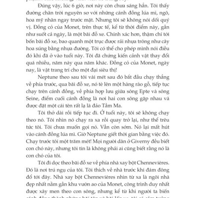 Hoa Súng Đen - Michel Bussi